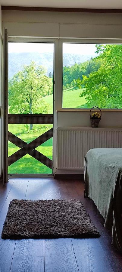 Gorski Widok Karpacz Apartamenty I Pokoje- Salon Kominkowy Εξωτερικό φωτογραφία