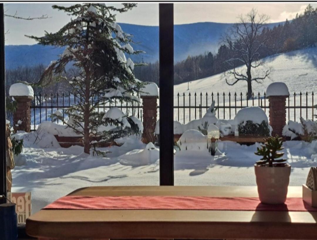 Gorski Widok Karpacz Apartamenty I Pokoje- Salon Kominkowy Εξωτερικό φωτογραφία
