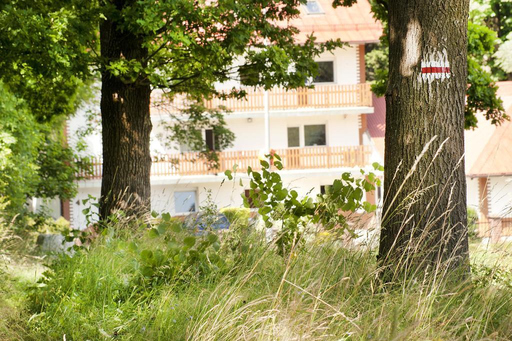 Gorski Widok Karpacz Apartamenty I Pokoje- Salon Kominkowy Εξωτερικό φωτογραφία